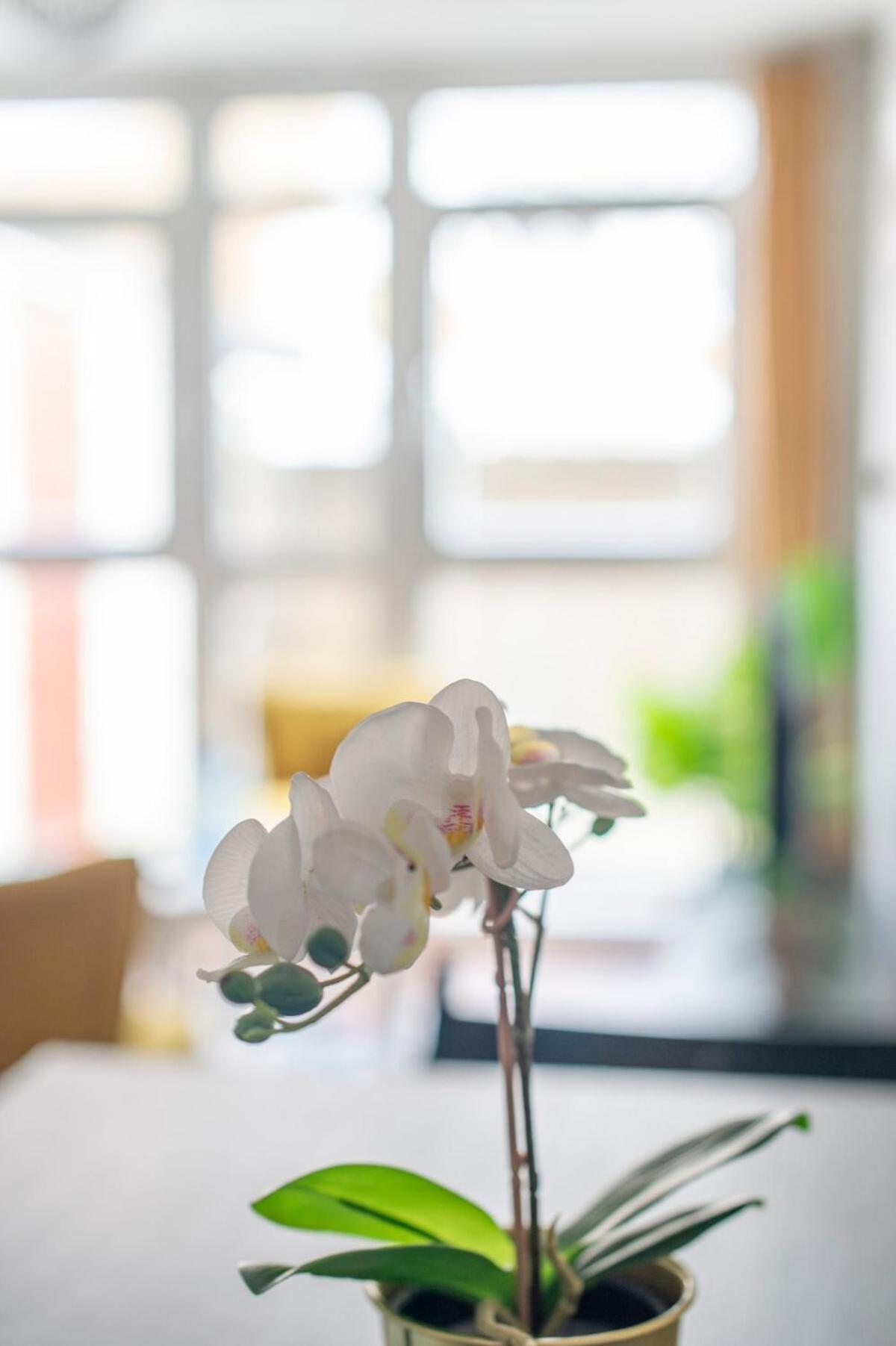 Lovely 2-Bed 20 Mins To Central 런던 외부 사진